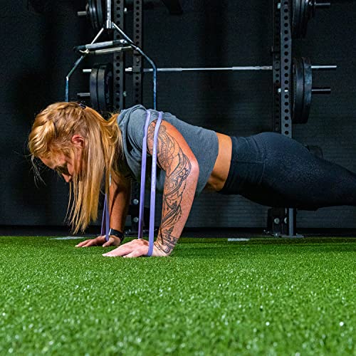 Serious Steel Fitness 32" Resistance Training Bands (Portable Exercise Band System Training Bands- Great for Individuals U...