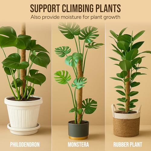 Craft911 Moss Pole Monstera Plant Support – 2 Pack 28” Bendable Moss Pole Monstera Plant Support, Plant Stakes for Indoor ...