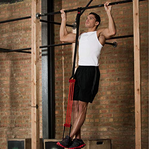 Lifeline Pull Up Revolution Assistance System to Improve Arm, Shoulders and Chest Strength with Assisted Pull Ups and Chin...
