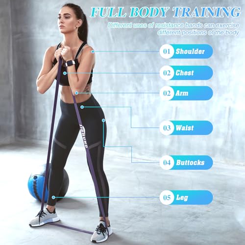 Resistance Bands Set, Pull Up Assistance Bands Pull Up Bands Exercise Bands for Men Women, Workout Bands for Working Out, ...