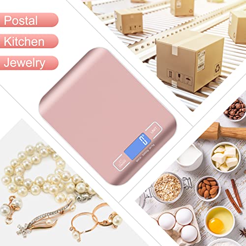 Selegere Digital Shipping Scale,Stainless Steel Panel, Accurate Portable Postal Scale for Packages, Small Business,Kitche...
