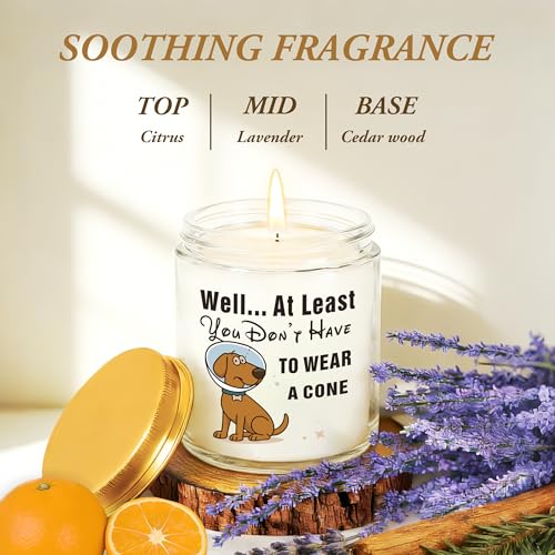 Get Well Gifts for Women, Get Well Soon Sympathy Gift for Her, Surgery Recovery Feel Better Present for Men, You Dont Have...