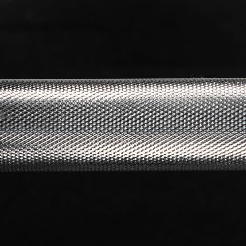 Titan Fitness Pair 20in Loadable Olympic Dumbbell Bars, 400 LB Capacity Each, Knurled Handles for Home Gym Strength Training