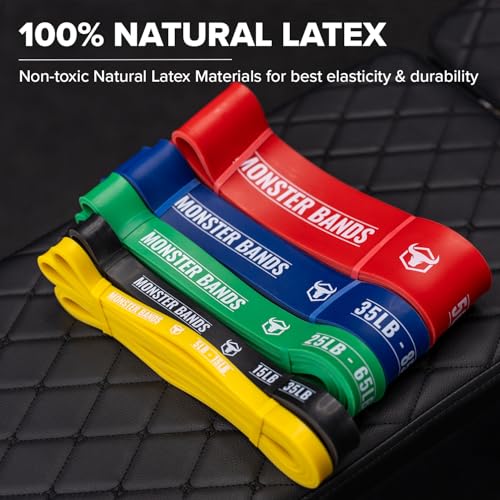 Pull Up Bands, Resistance Bands (Set of 5) – Pull Up Assistance Bands Set – Exercise Workout Bands for Working Out, Streng...