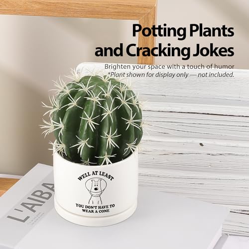 Well at Least You Don’t Have to Wear A Cone Recovery Gifts Ceramic Succulent Plant Pot with Tray Get Well Soon Gifts After...