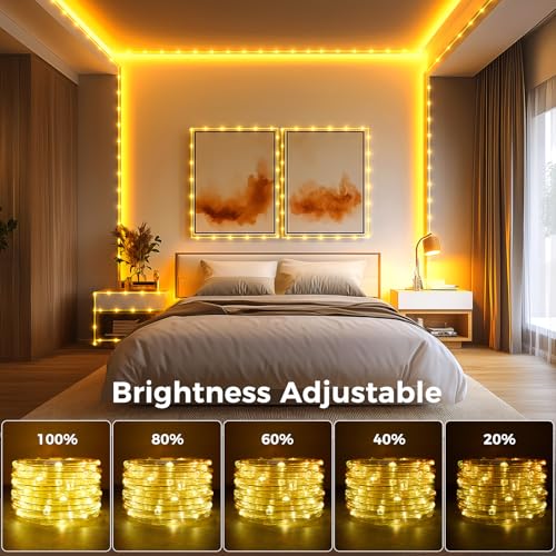 Minetom Color Changing Rope Lights Outdoor, 33FT 100 LED String Lights with Plug & Remote, Waterproof Christmas Light Outd...