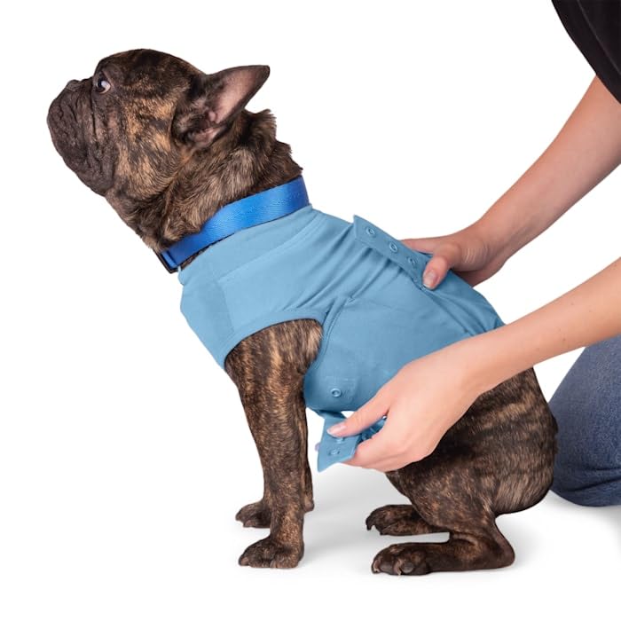 Well & Good Recovery Suit for Dogs Small/Medium