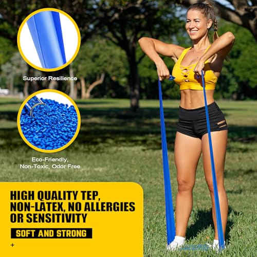 Resistance Bands, Exercise Bands, Physical Therapy Bands for Strength Training, Yoga, Pilates, Stretch Elastic Band with D...