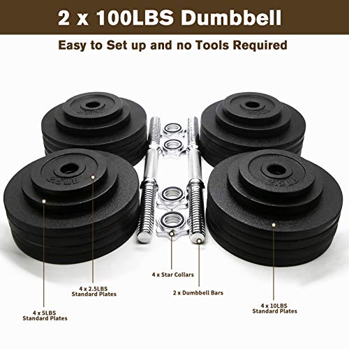 Cast Iron Adjustable Dumbbells 200lbs Black