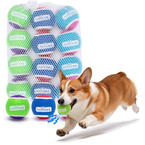 Nobleza Tennis Balls for Dogs 12 Pack, 2.5in Durable Bouncy Floatable Squeaky Tennis Balls for Dogs for Fetch & Exercise, ...