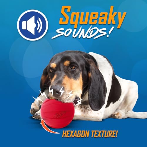 Nerf Dog Classic Squeak Ball Outdoor Dog Toy, 3.8 Inch Dog Ball Fetch Toy, Squeaking Toy for Medium and Large Breeds, Gree...