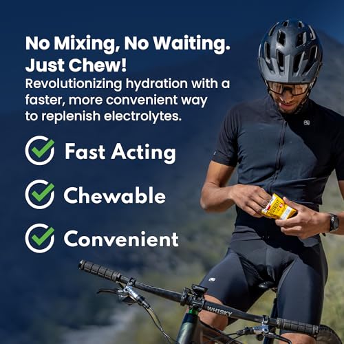 SaltStick Electrolyte FastChews - 60 Mixed Berry Chewable Tablets - Salt Tablets for Running and Hydration, Electrolyte Ch...