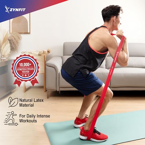 ZYNFIT Pull Up Bands, Resistance Bands Set with Door Anchor, 5-Level Pull Up Assistance Bands for Working Out, Workout Ban...