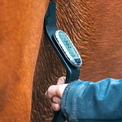 HORSEPAL Horse Heart Rate Monitor Full HR Training Kit
