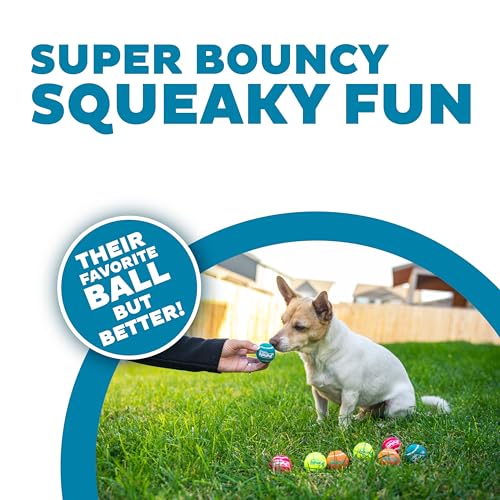 Outward Hound Squeaker Ballz – Squeaky Tiny Tennis Balls for Small Dogs Under 15 lbs, Fetch & Training, X-Small (1.5"), 8-...