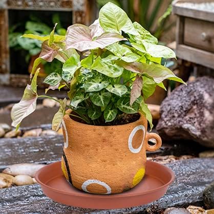 6 Pack of 6 inch Plant Saucer, 4 6 8 10 12 14 16 inch Plant Saucers, Heavy Duty Plastic Plant Water Tray, Planter Drip Trays for Pot, Flower Saucers for Indoors (6 inch, Terracotta)