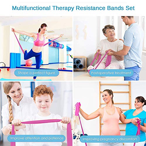 Therapy Flat Resistance Bands Set, Latex Free Flat Elastic Exercise Stretch Bands for Stretching, Flexibility, Pilates, Yo...