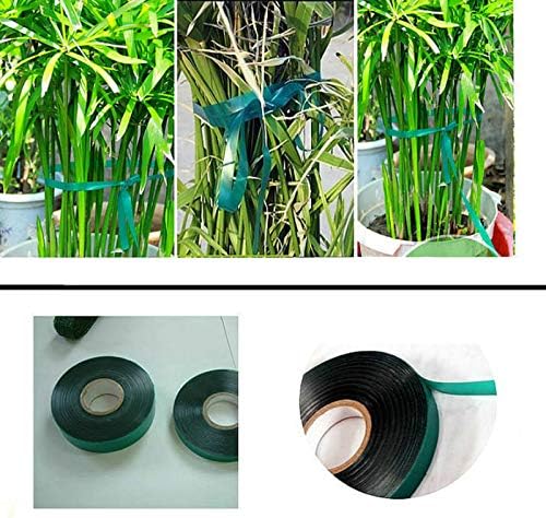 24 Rolls 150 Feet Stretch Tie Tape 0.5 Inch Garden Tie Tape Thick Plant Ribbon Garden Green Vinyl Stake for Indoor Outdoor Patio Plant Use
