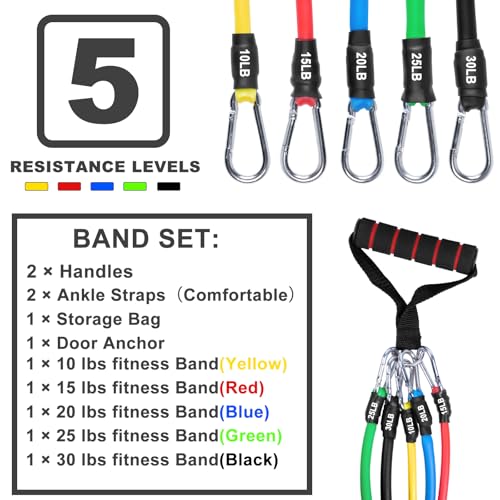 Resistance Bands Set, Workout Bands with Handles, Door Anchor, Ankle Straps and Carry Bag, Exercise Bands for Shape Body a...