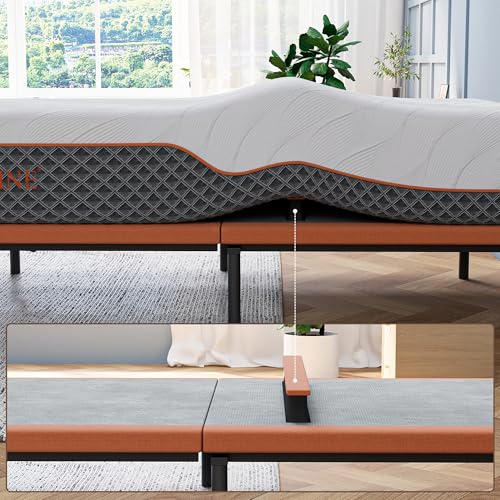ESHINE Adjustable Bed Frame + 14 inch Hybrid Matt, Lumbar Support, Head-Pillow-Tillt, Smart App Control, Wireless Remote, ...