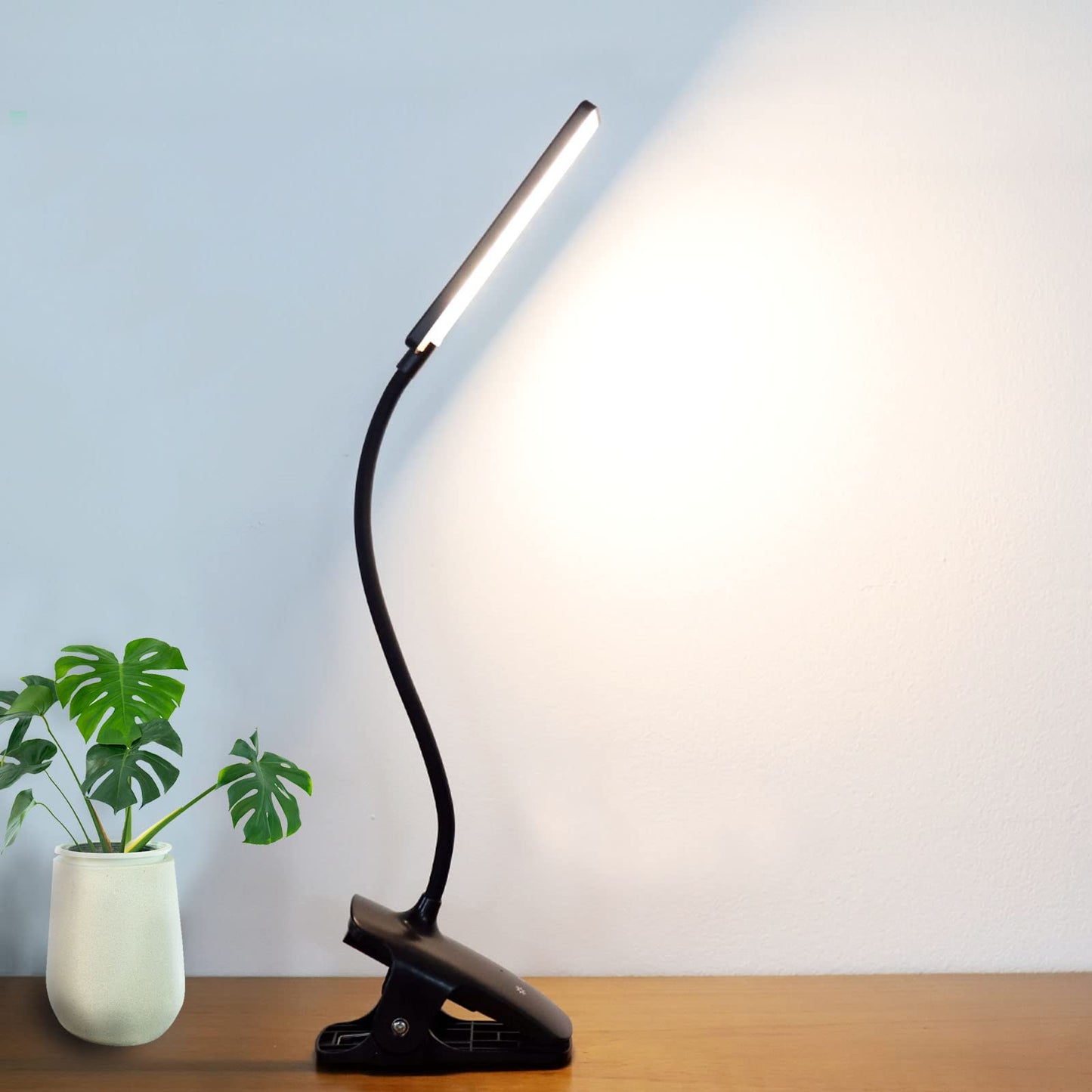 deaunbr LED Reading Light with Clip, USB Rechargeable, 24 LEDs, Flexible Neck, Black, Model WS0030-01-0