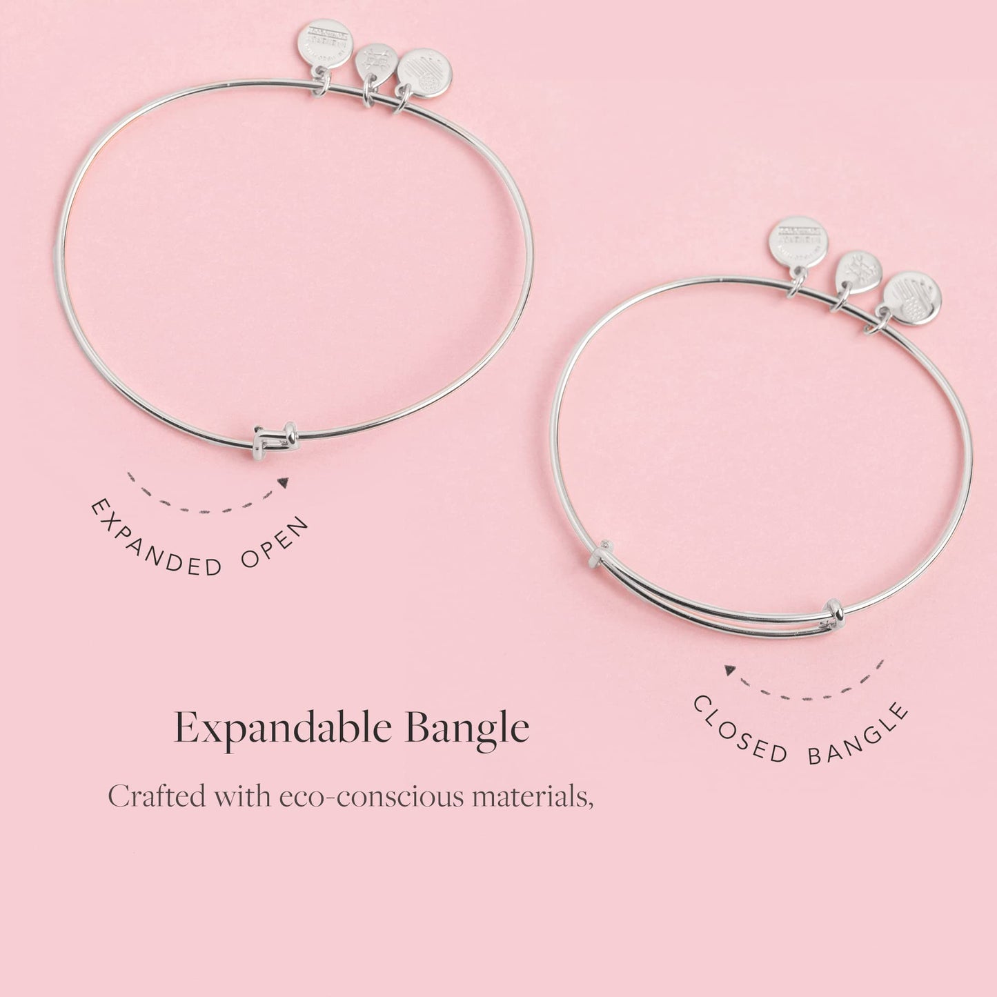 Alex and Ani Because I Love You Daughter Expandable Wire Bangle Bracelet for Women, Most Precious Gift Charm, Shiny Antique Silv