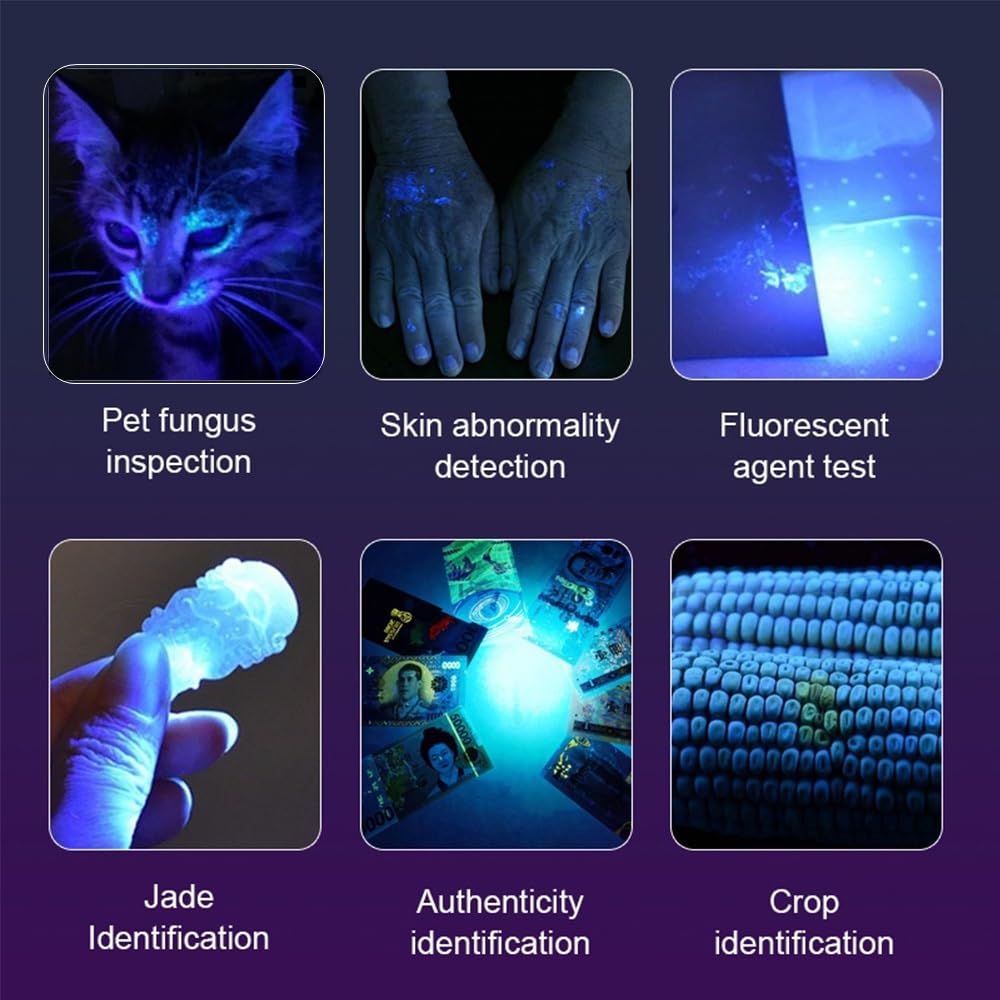 ALONEFIRE SV16 UV Flashlight, 5W Portable Black Light, USB Rechargeable, 365nm, Mini Urine Stain Detector