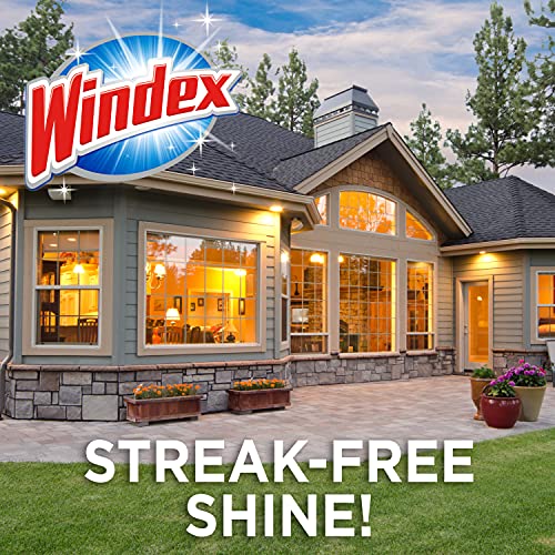 Windex Outdoor Window and Glass Cleaner for Hose Ammonia Free, Concentrated Formula for Deep Outdoor Clean, Patio Cleaner,...