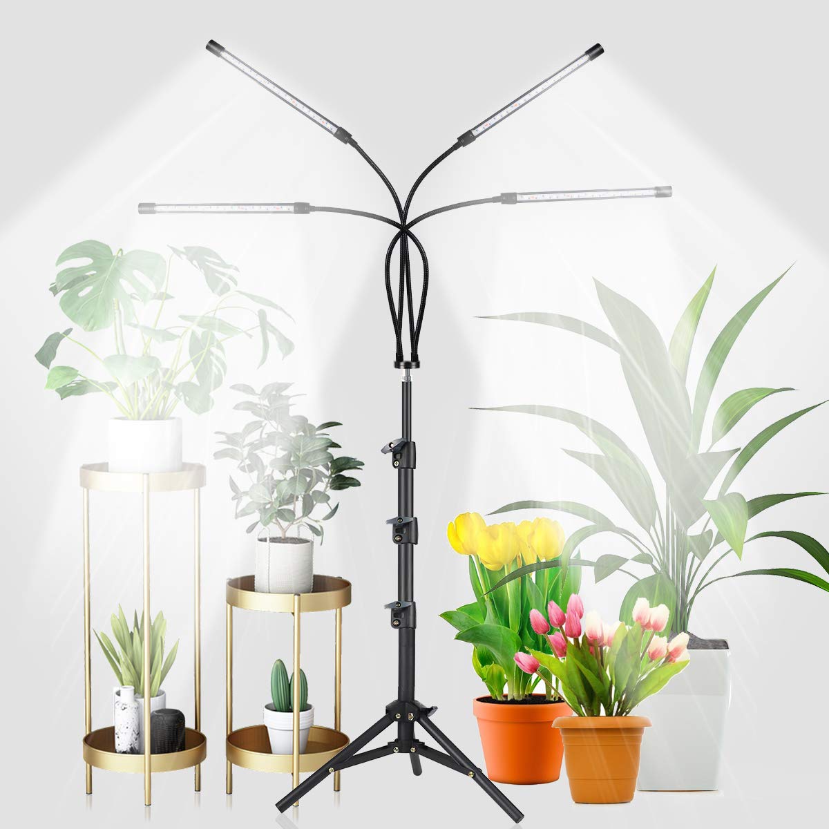 Ghodec Grow Light With Adjustable Tripod Stand, 80 Led 5500K Full Spectrum, 5 Dimmable Levels, Auto Timer, Black & White