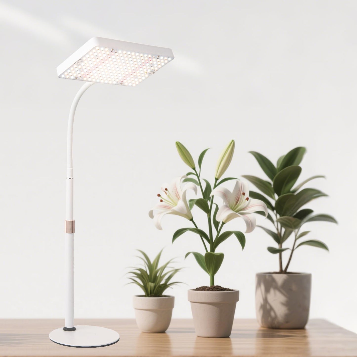 JINHONGTO Tabletop Grow Light with Timer, Adjustable 16in-24in, Black, Aluminum, Model Zinqolay