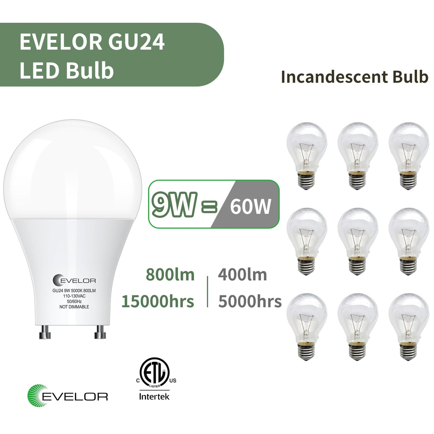 evelor GU24 LED Light Bulb,60 Watt Equivalent Daylight White 5000K,Non-Dimmable,Efficient 9W,800 Lumens Twist and Lock 2 Prong Light Bulbs,15000 Hours,Ideal for Kitchen,Living Room,Bedroom, 4-Packs