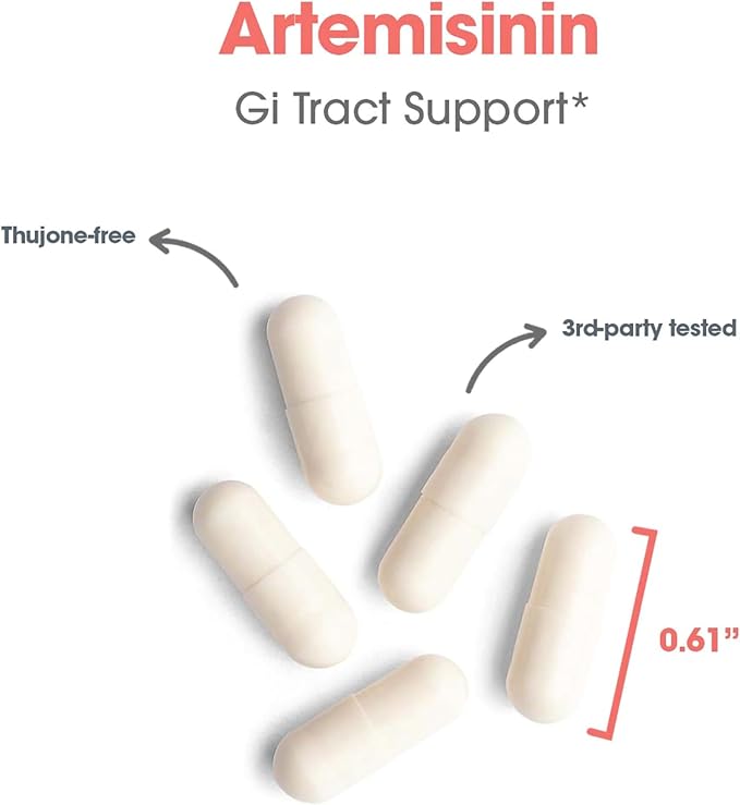 Allergy Research Group Artemisinin Supplement - GI Tract Support, Pure Qinghaosu from Artemisia annua, Thujone-Free, Hypoallergenic, Vegetarian Capsules - 90 Count