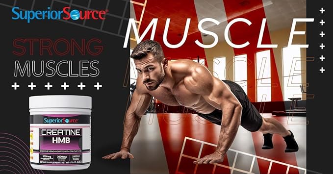 Superior Source Creatine HMB - Creatine Monohydrate for Muscle, Recovery & Exercise Support - Dye-Free - Unflavored, 8.75 oz