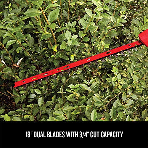CRAFTSMAN V20 Pole Hedge Trimmer Cordless, 18-Inch, Battery and Charger Included Hedge Trimmer with Extension Pole, Up to ...