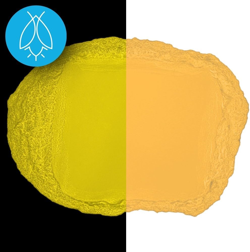 Glow in The Dark Pigment Powder - Neutral and Fluorescent Color for Art Painting, Fine Art, Nail Art Paint, and DIY Crafts - Long Lasting 10+ Color Options - Fluorescent Orange - (8 Ounce)