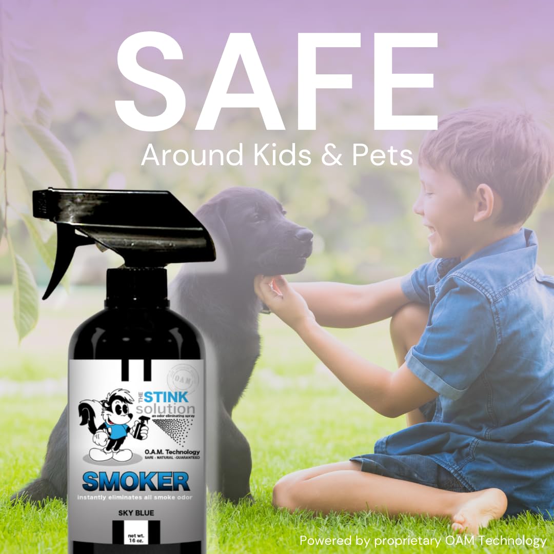 The Stink Solution Smoke Odor Eliminator Spray - Completely Remove Smoke Smell From House, Car, Clothes, Hands, Hair, & More - Best Odor Eliminator For Smoke - Bamboo Teak Fragrance - 2 16 oz Bottles