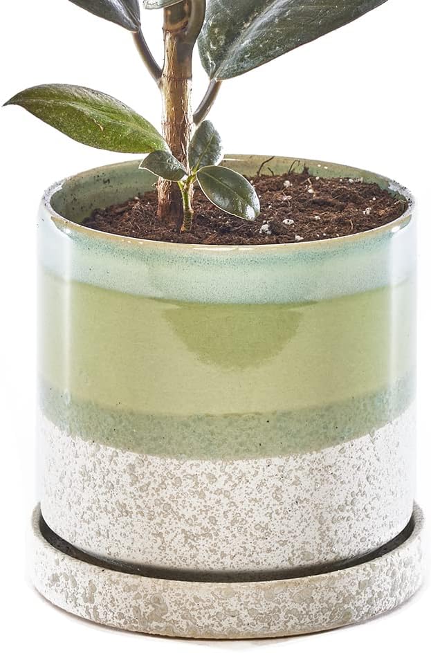CHIVE ‘Minute’ Ceramic Planter Pot — Cute 5” Colorful Succulent Pots for Indoor & Outdoor House Plants — Beautiful Modern Farmhouse Kitchen Decor — Green Cement