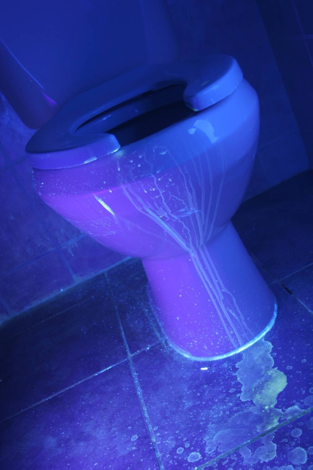 Wayllshine Uv Flashlight - 395Nm High Power Led, 3 Modes, 10 Yard Range, Aluminum, Blacklight For Pet Urine & Stain Detection