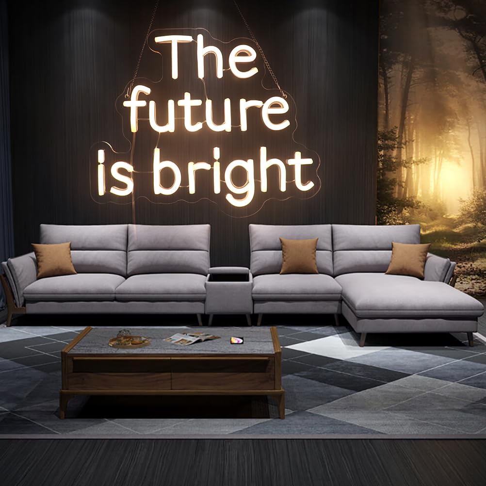 The Future Is Bright Neon Sign  Positive Quotes Decorative Neon Lights For Home Room Wall Decor  Office Wall Decor Neon Light Sign  Christmas Birthday Gift Thanksgiving Gift(Warm White)