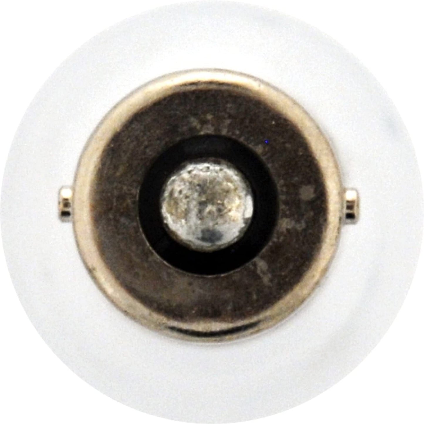 Sylvania 1156Bp Heavy Duty Back-Up Light 2 Count