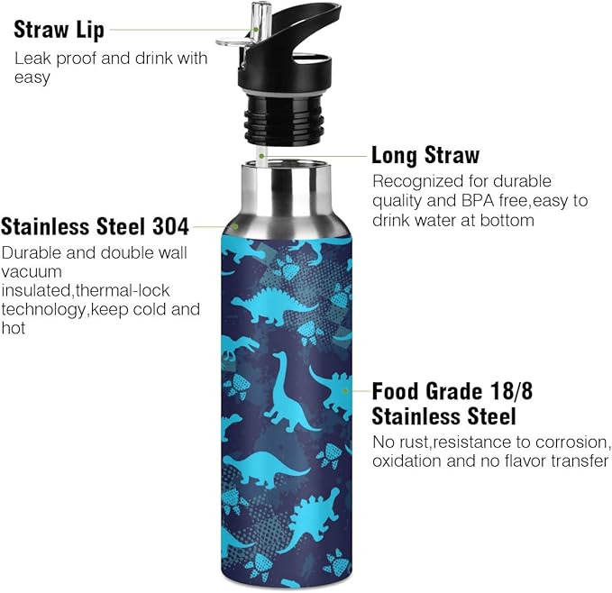 Blueangle Cute Dinosaurs Stainless Steel Water Bottle with Straw, BPA Free Reusable Leakproof Water Jug for Fitness Camping Outdoor Sports