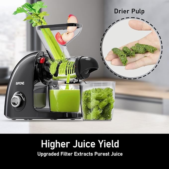 Slow Masticating Cold Press Juicer Machine - Dual Mouth, Quiet Motor, Anti-Clog, Black
