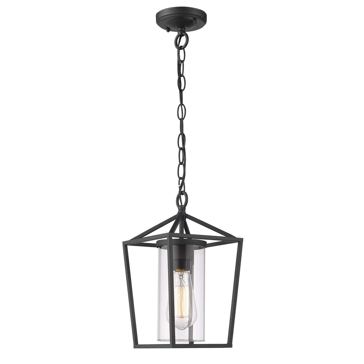 Emliviar Outdoor Pendant Light, 1-Light Hanging Lantern, Black Finish, Clear Glass, Model 20065H BK