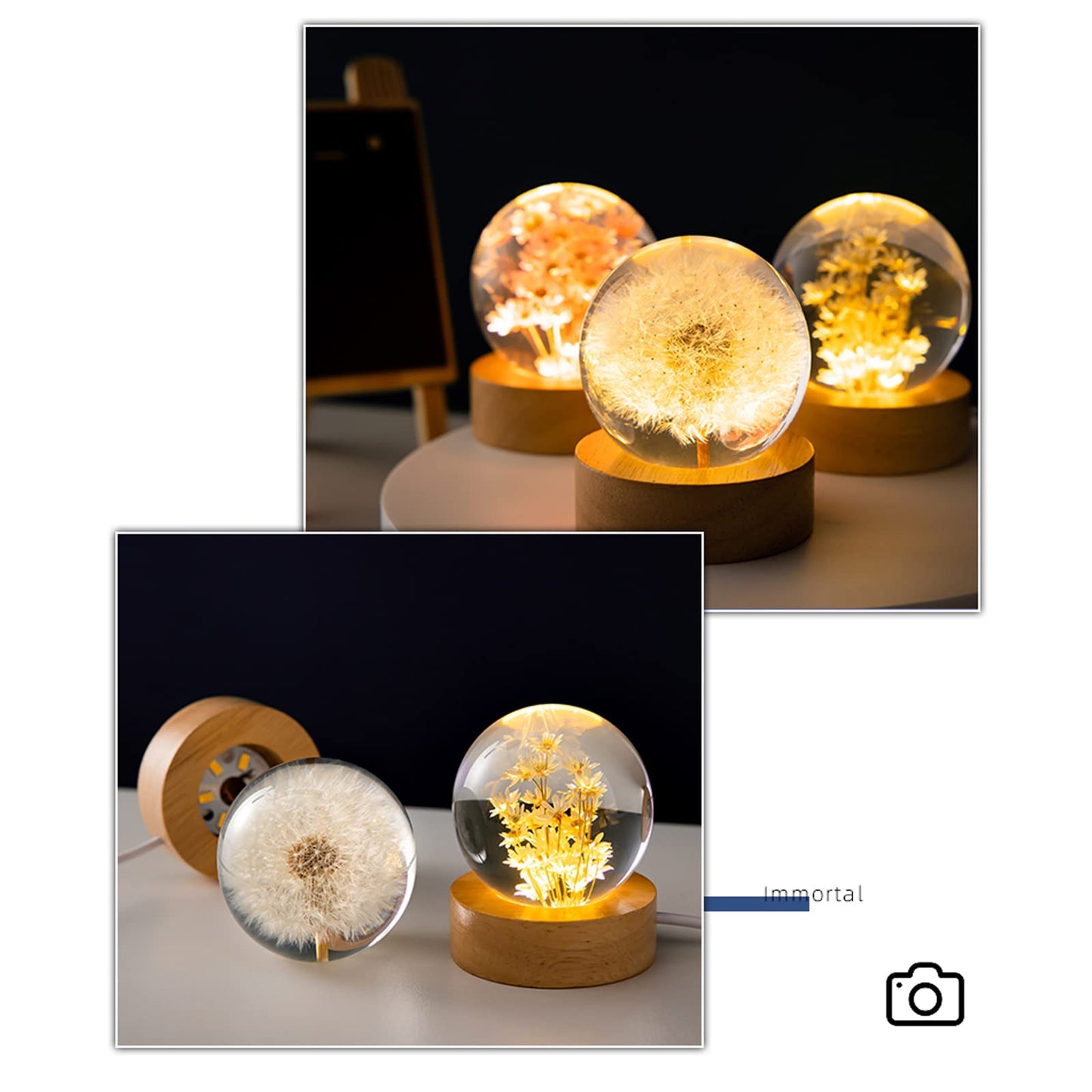 MARZIUS Flower Crystal Ball Night Light, 2.4in Glass Lamp with Wooden Base, Dandelion 2, Model CB320