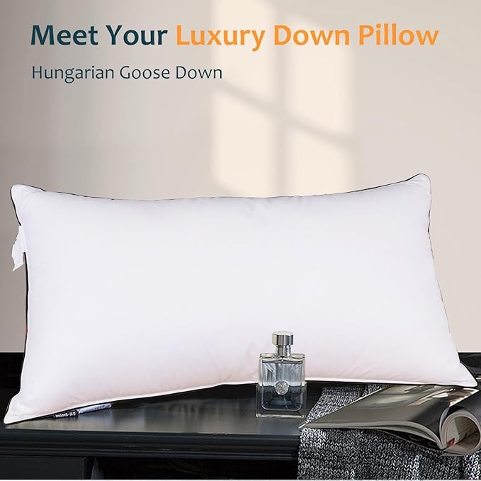 Natural Goose Down Pillows - Soft and Support Down Bed Pillow for Back, Side, Stomach Sleepers - 550 Fill Power, Queen Size(20" x 28")
