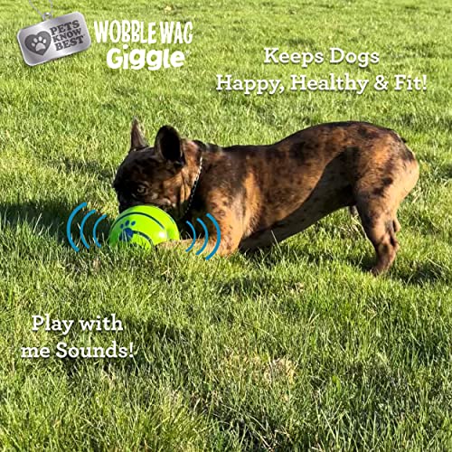 Wobble Wag Giggle Ball | Rolling Enrichment Toy for Fun Playtime, Interactive Play for Indoor or Outdoor, Keeps Dogs & Pup...