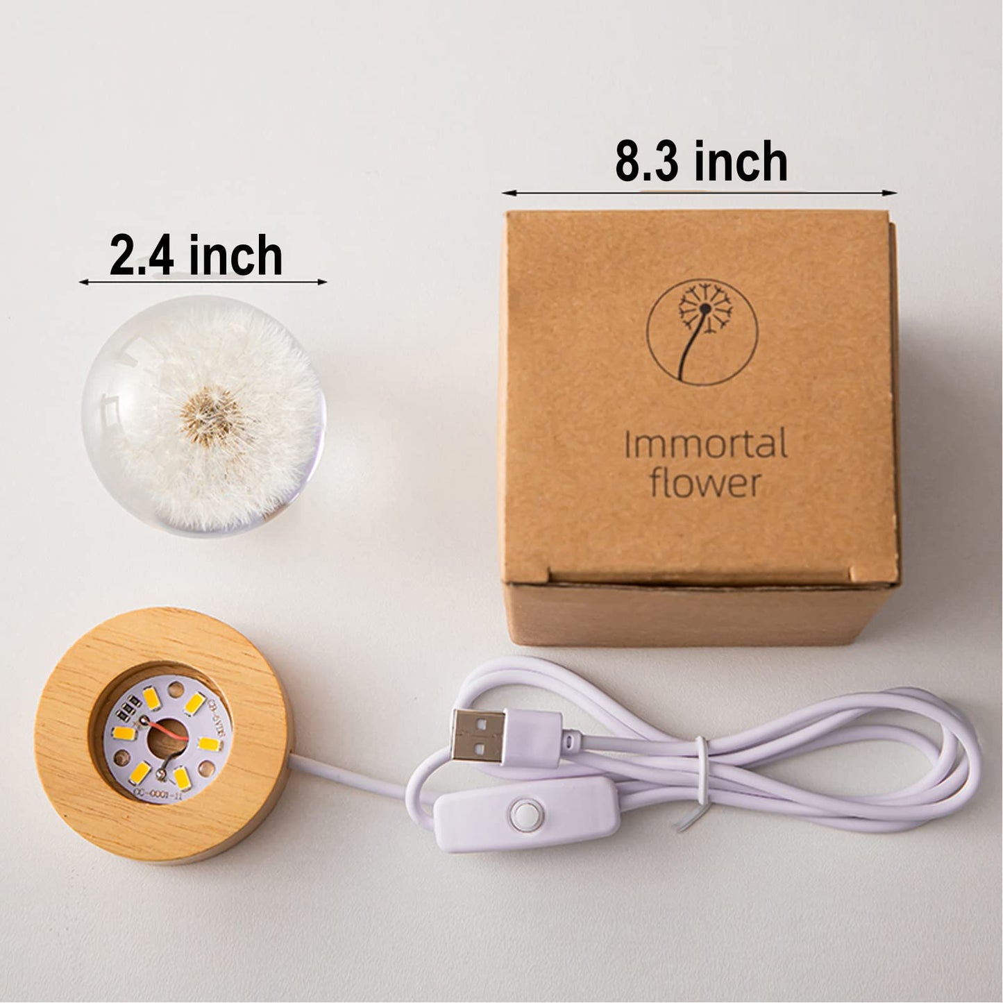 MARZIUS Flower Crystal Ball Night Light, 2.4in Glass Lamp with Wooden Base, Dandelion 2, Model CB320
