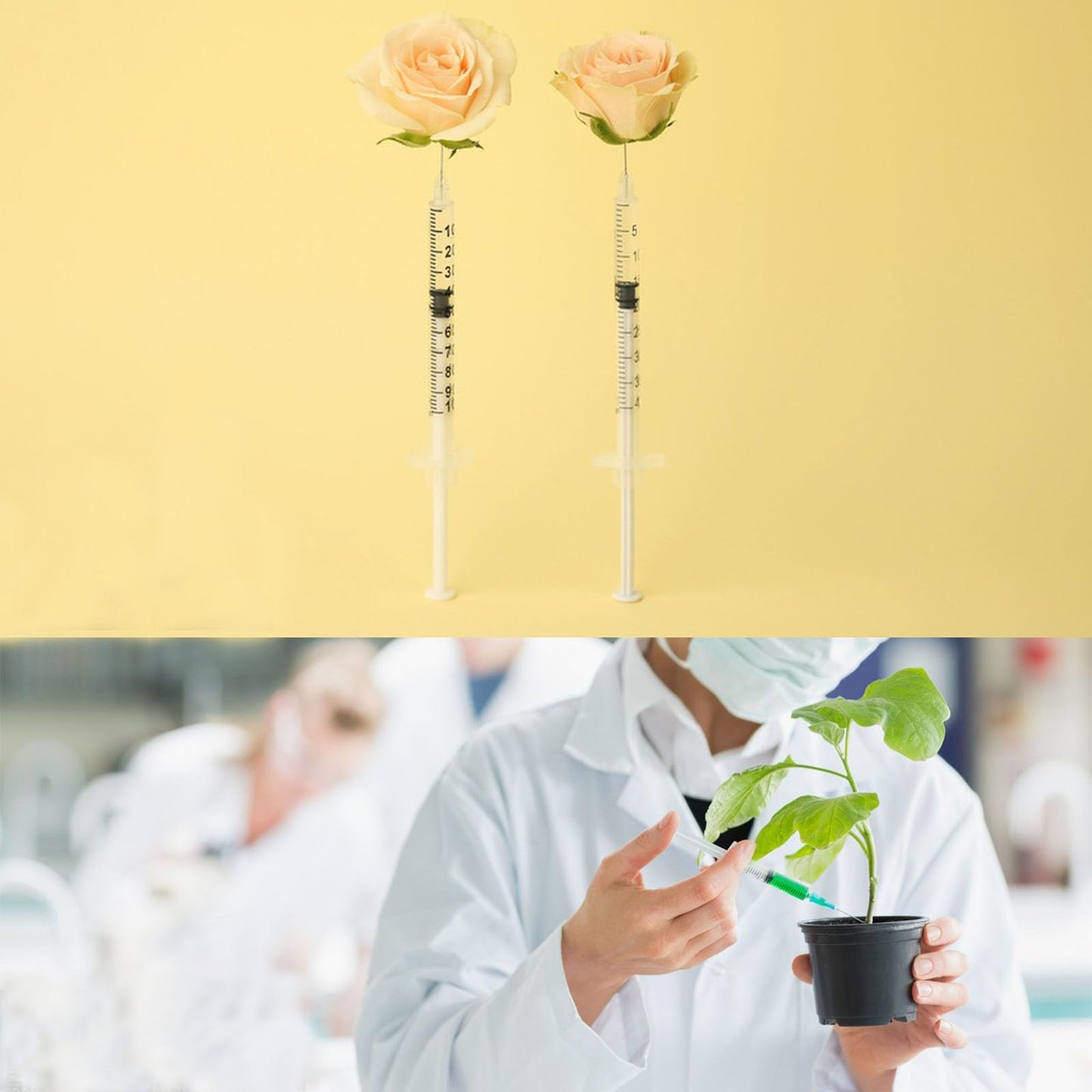 100pcs 3ml/cc 25G 1.5 inch (38mm) Luer Lock for Industrial Scientific Accessories, Refilling Liquid, Individually Wrapped