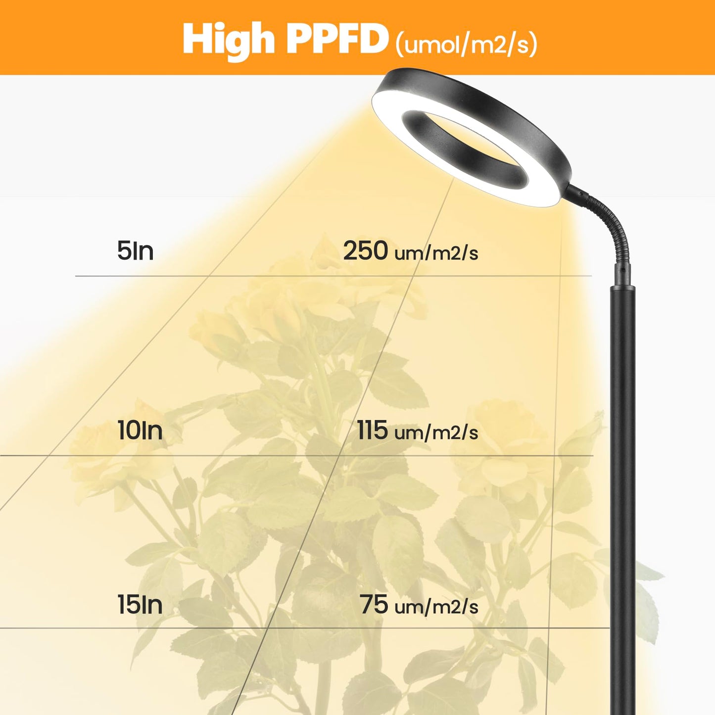 Vsoke Grow Light for Indoor Plants, 20W LED, Adjustable Stand, Off Timer, 10 Dimmable Brightness, Large, Floor-standing Ring Black, Model 24RingBlaV