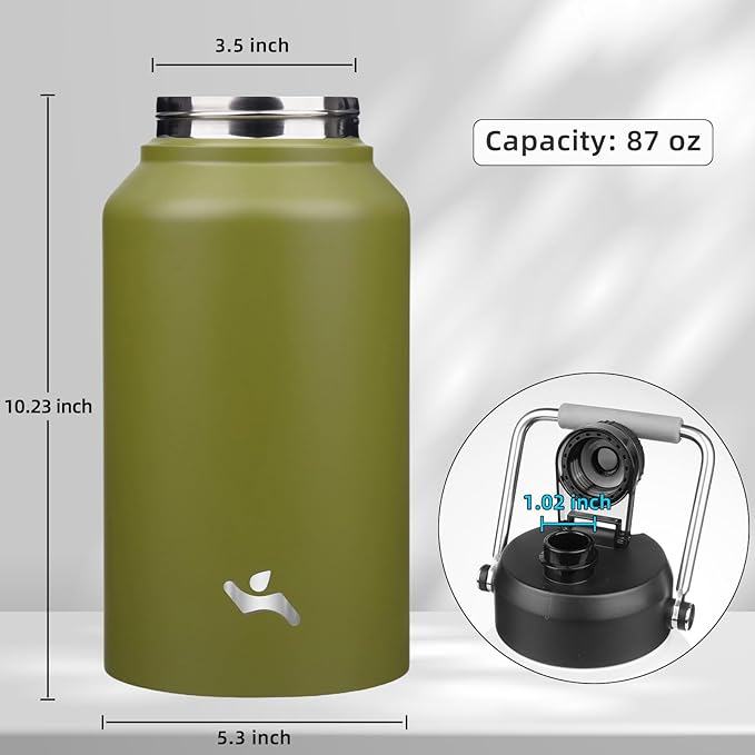 Jug with Handle,87 oz Insulated Water Bottle with Carrying Pouch, Double Wall Vacuum Stainless Steel Metal Bottle,Forest Green